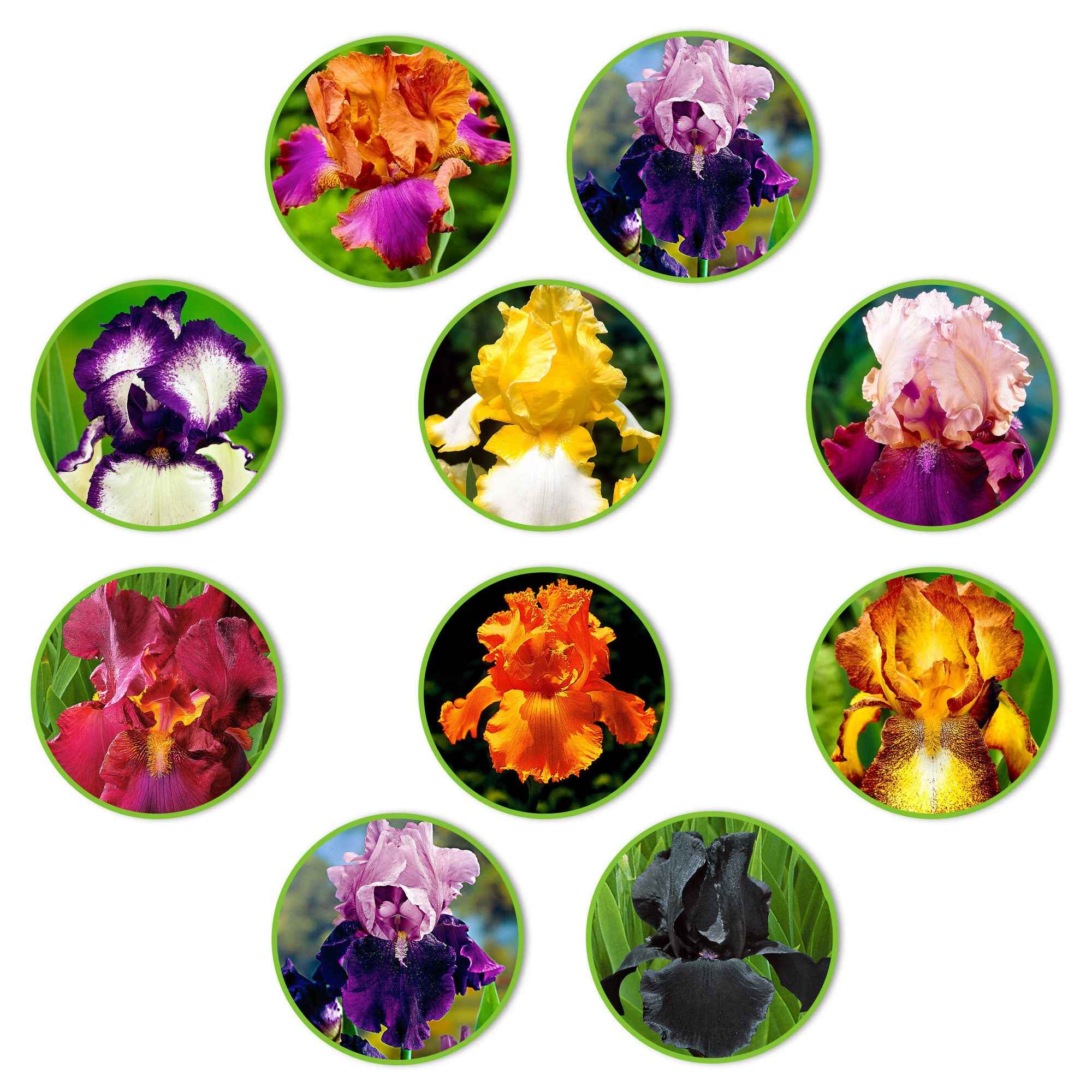 Miniatuur 2