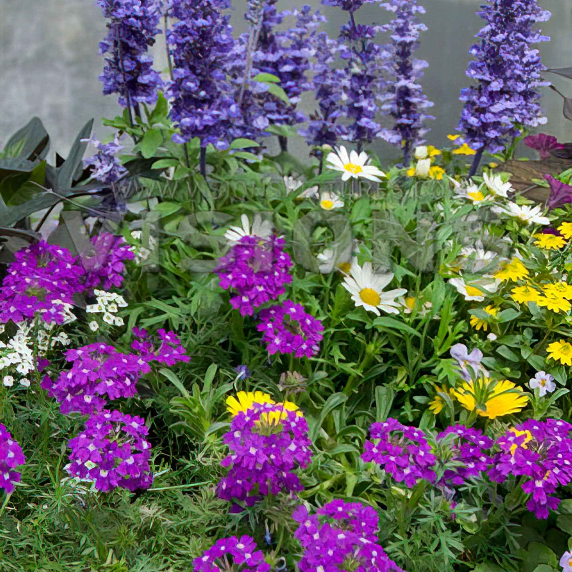 Miniatuur 1