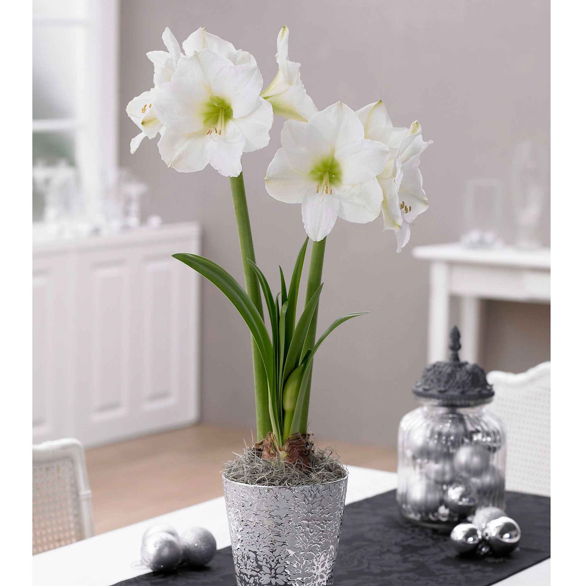 Miniatuur 1