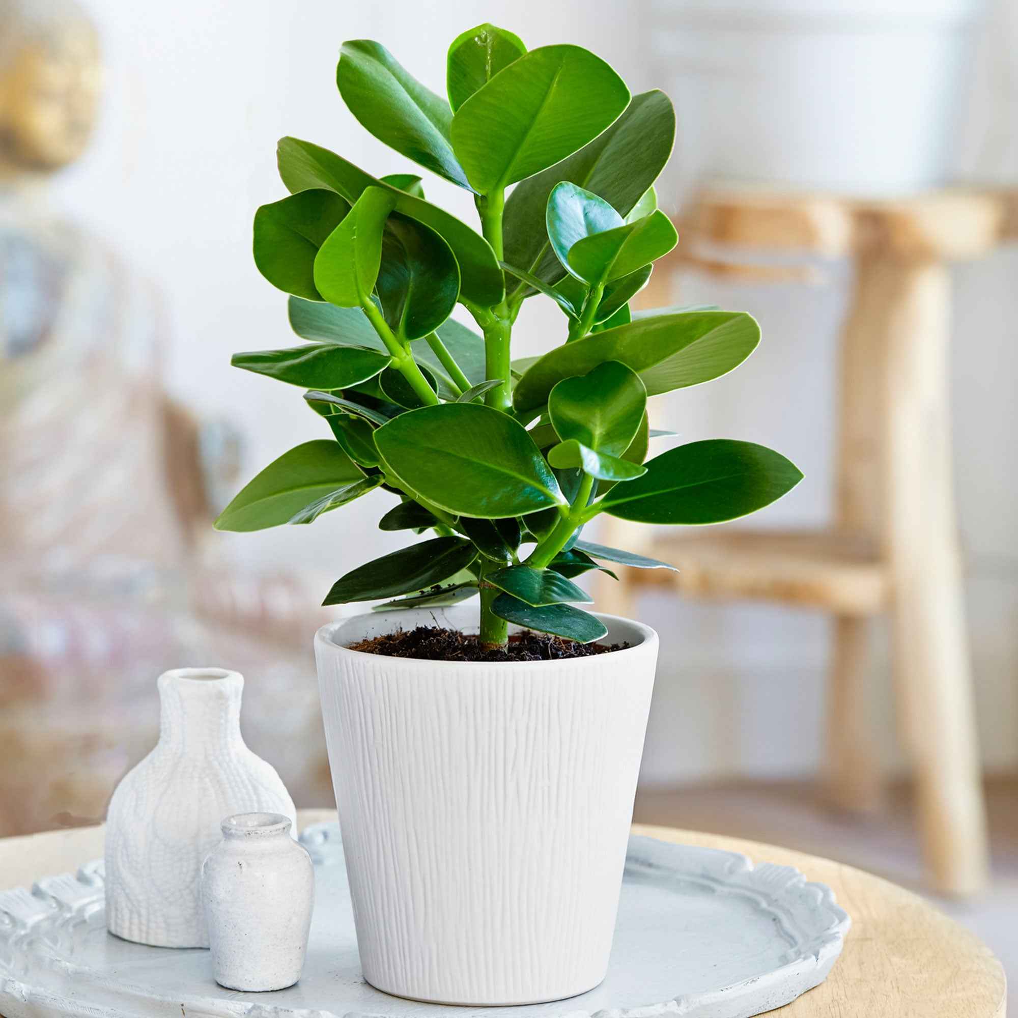 Miniatuur 1