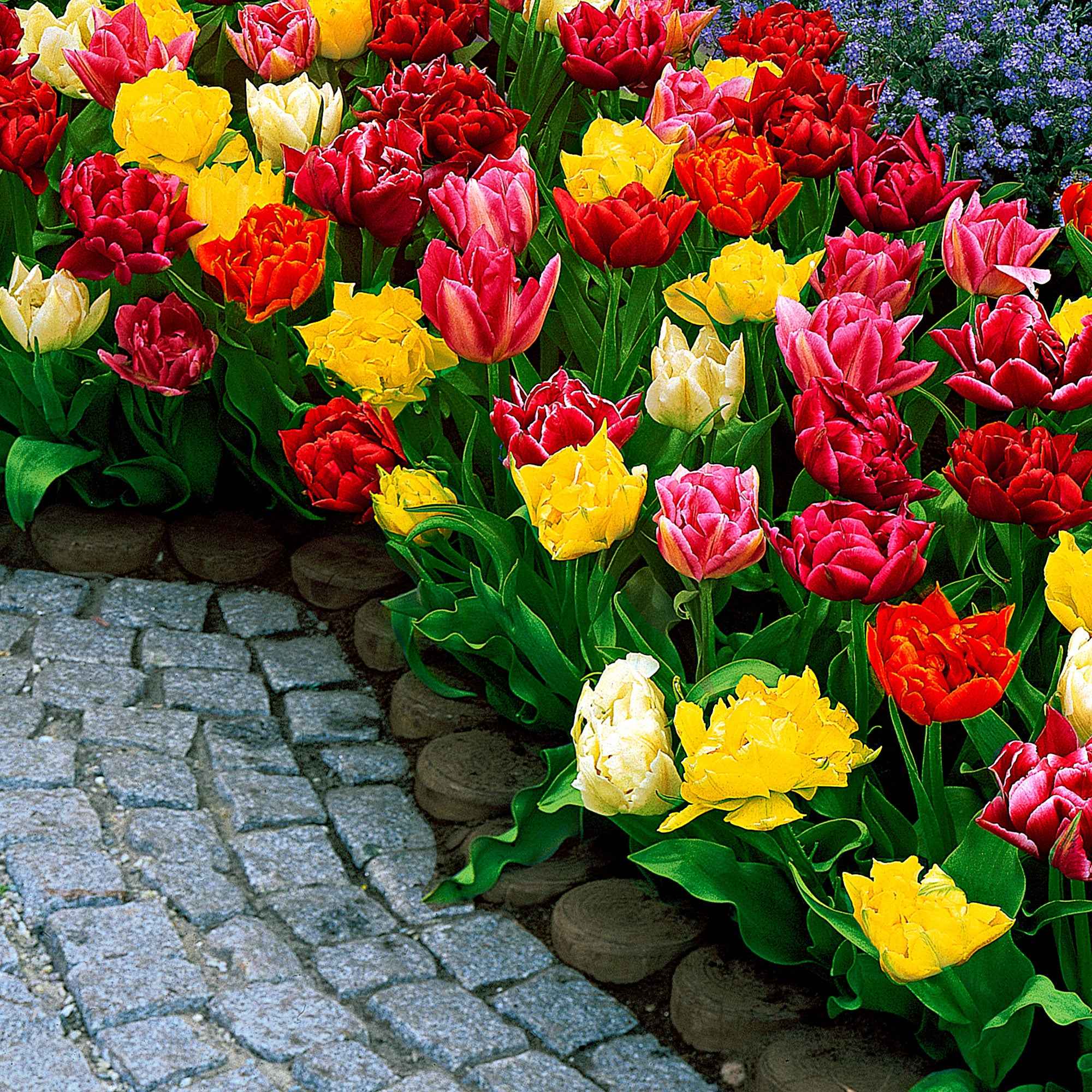 Miniatuur 2