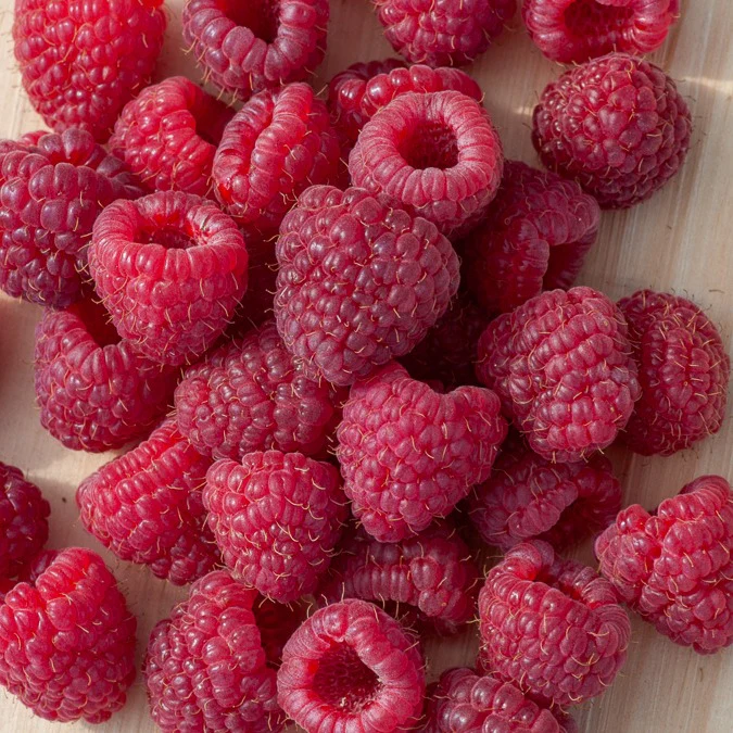 Productafbeelding 5