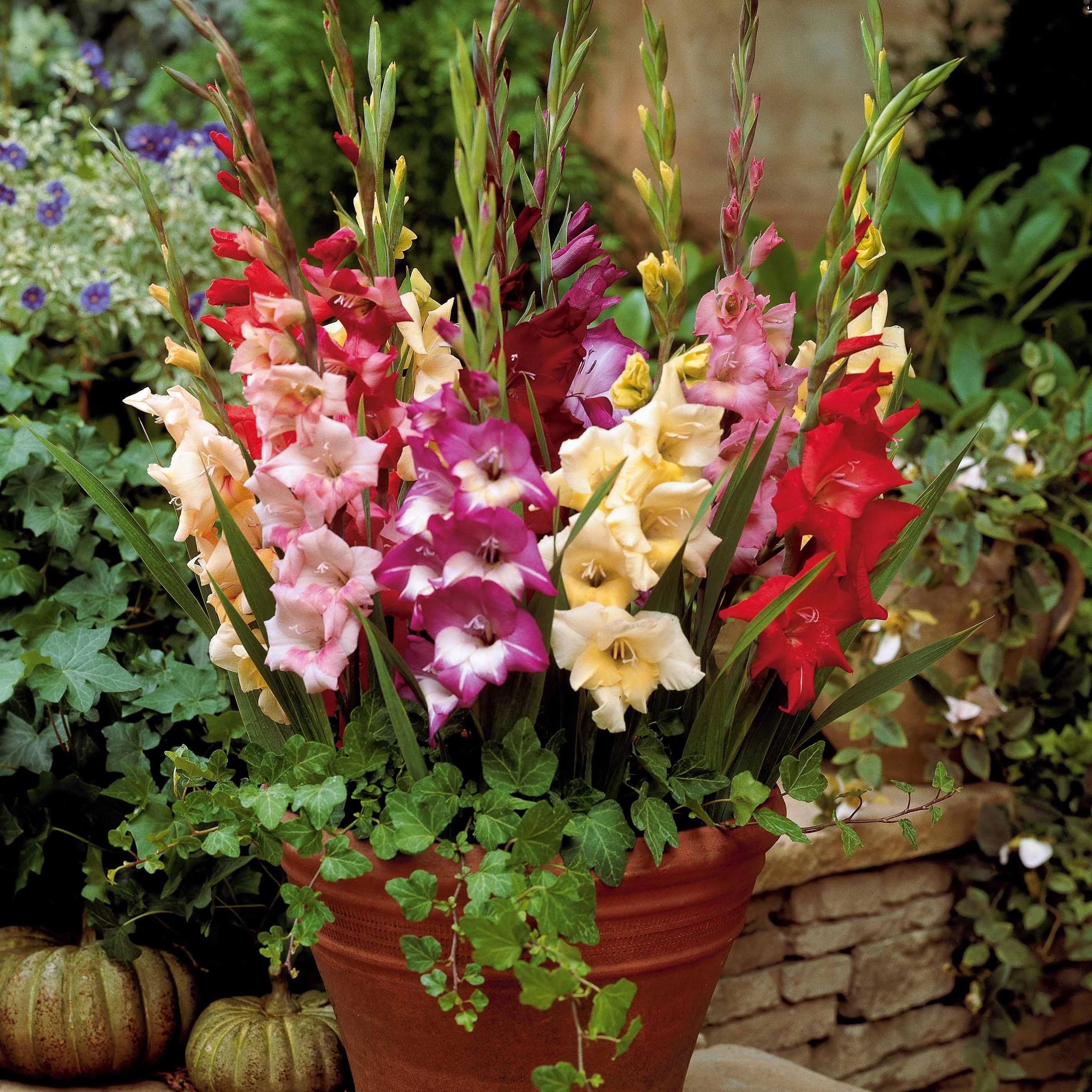 Miniatuur 2