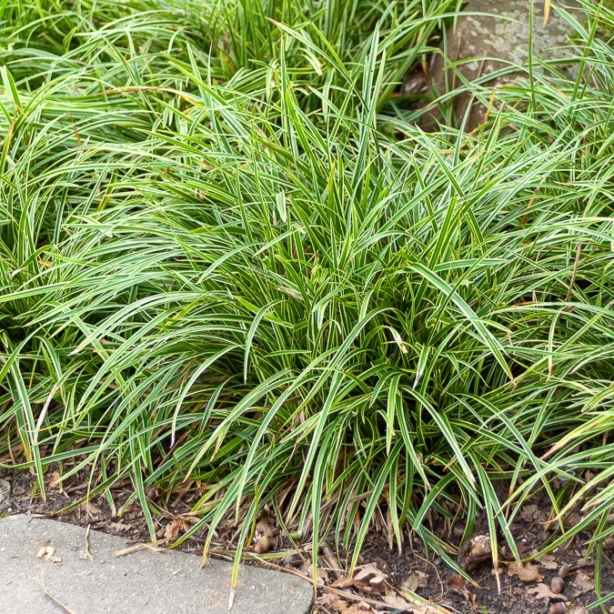 Productafbeelding 2