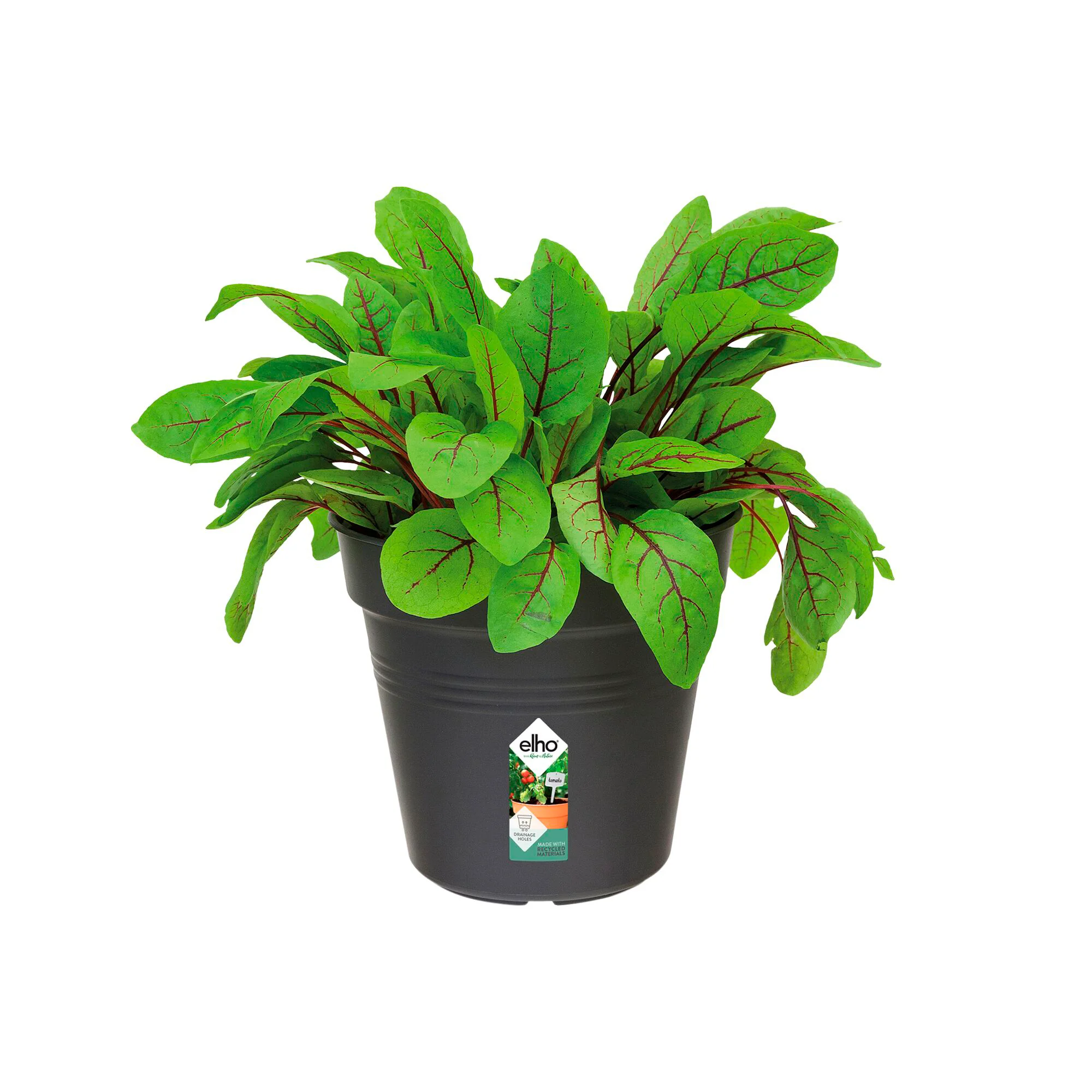 Miniatuur 2