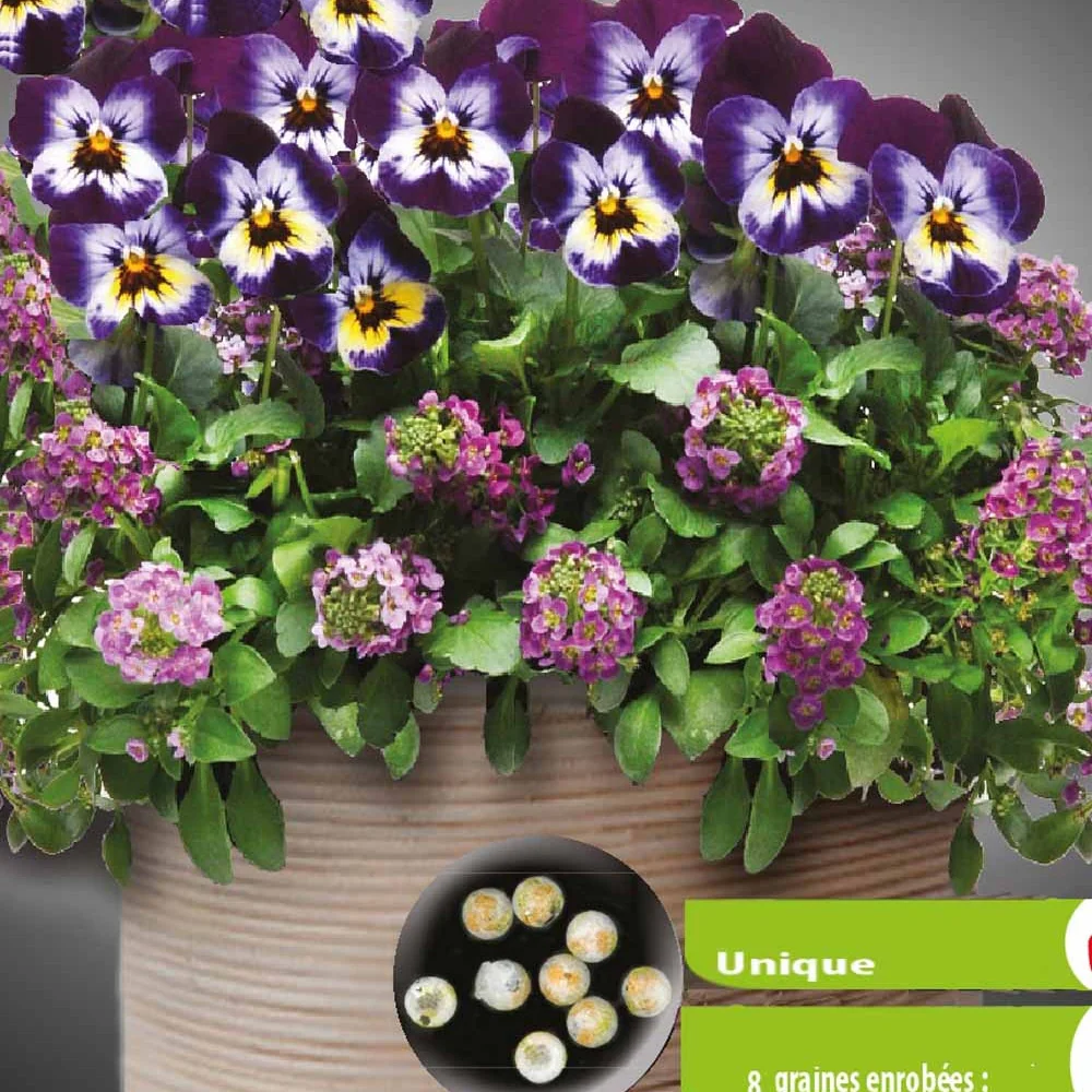Miniatuur 1