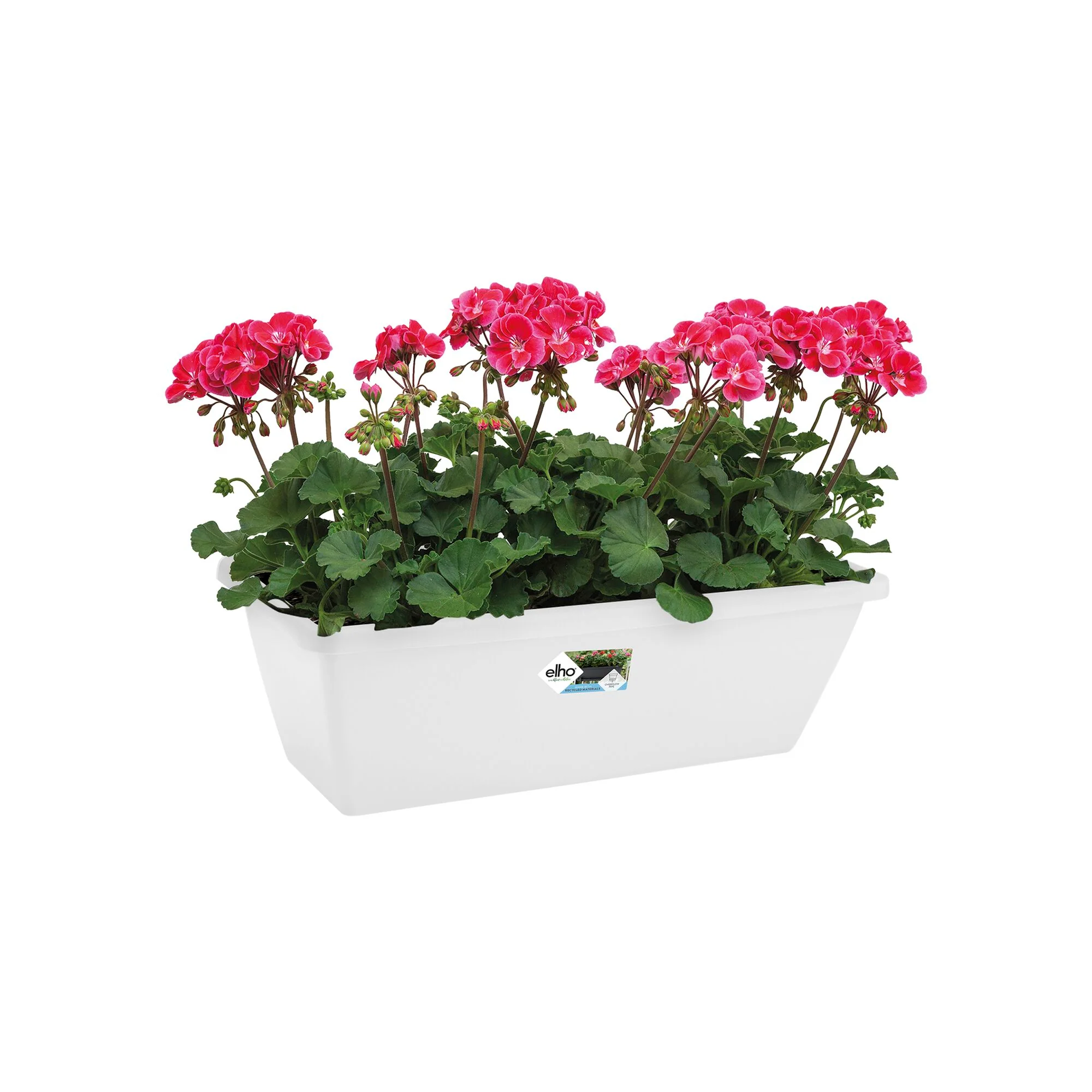 Miniatuur 2