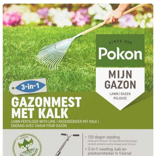 Miniatuur 2