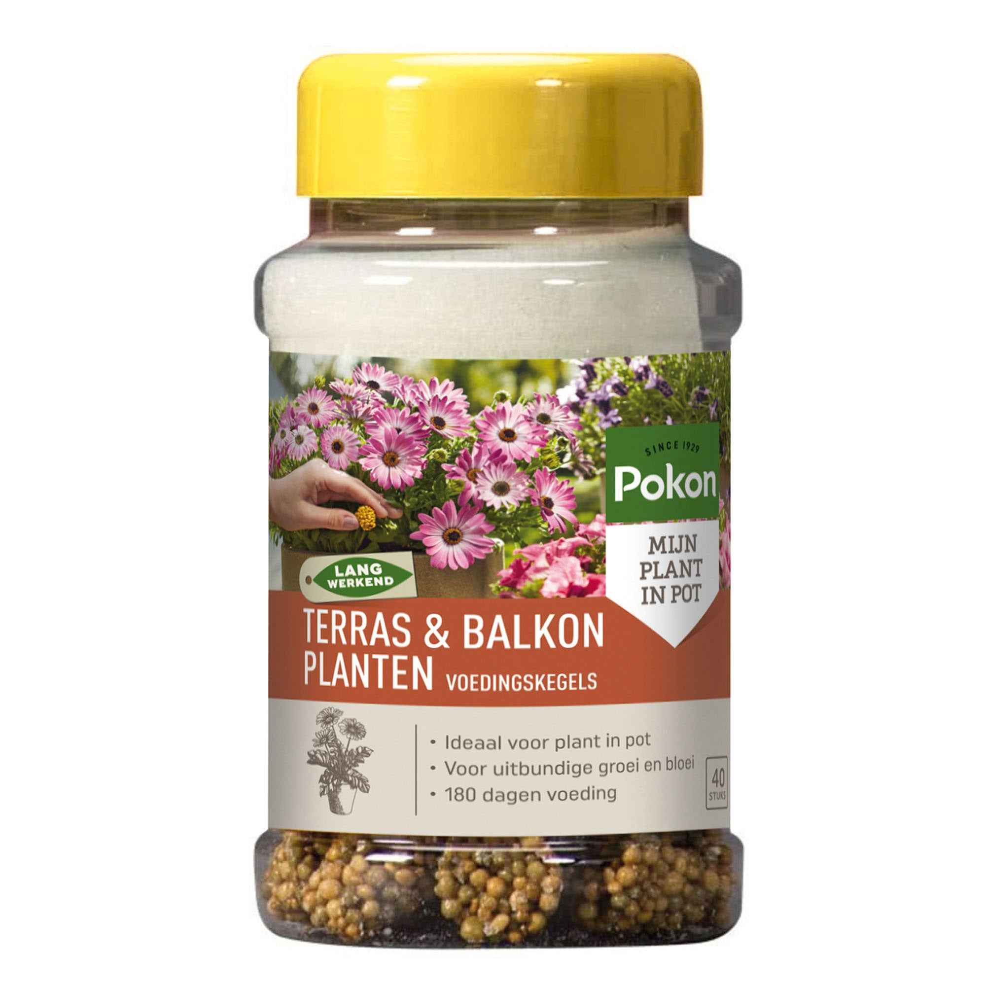 Productafbeelding 1