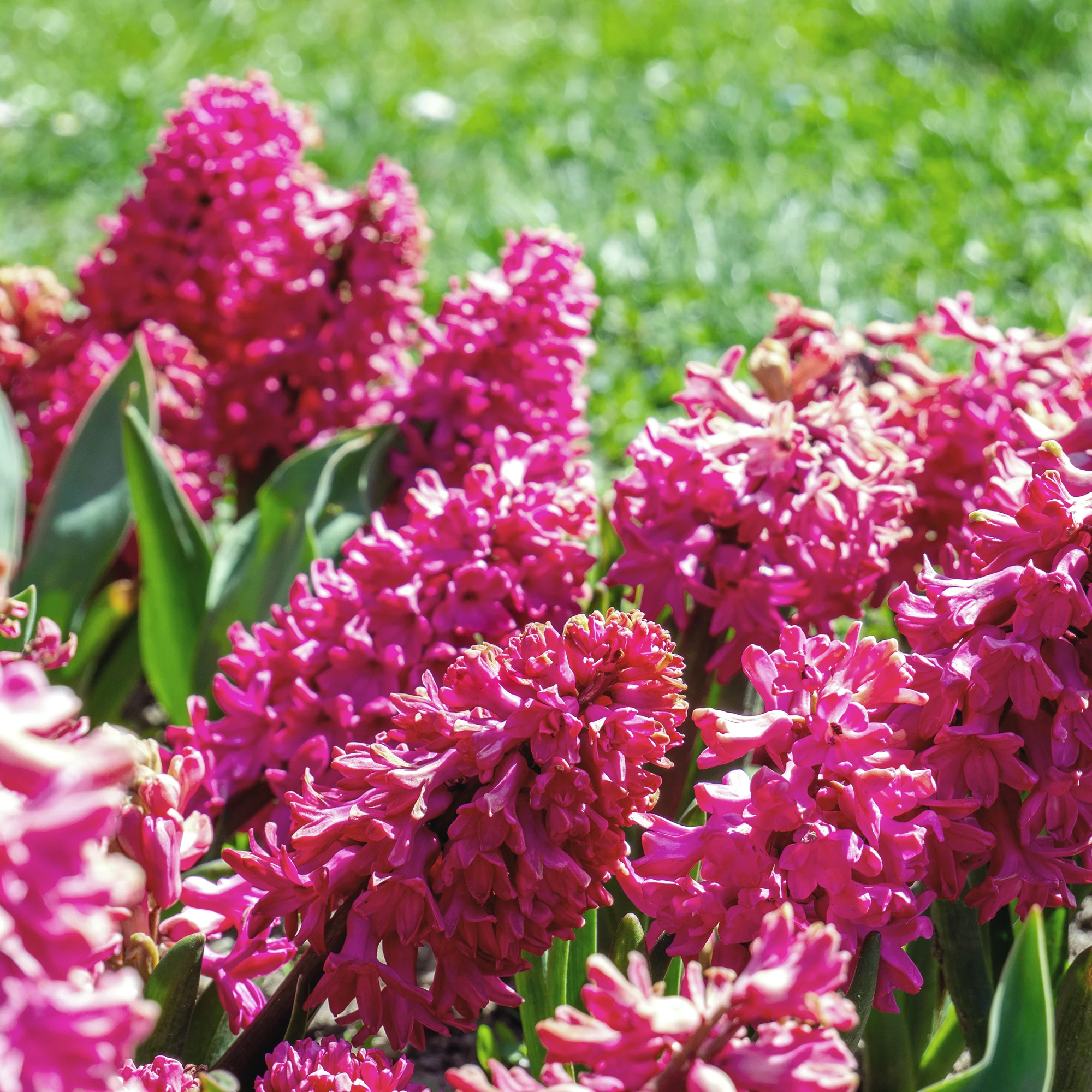 Miniatuur 2