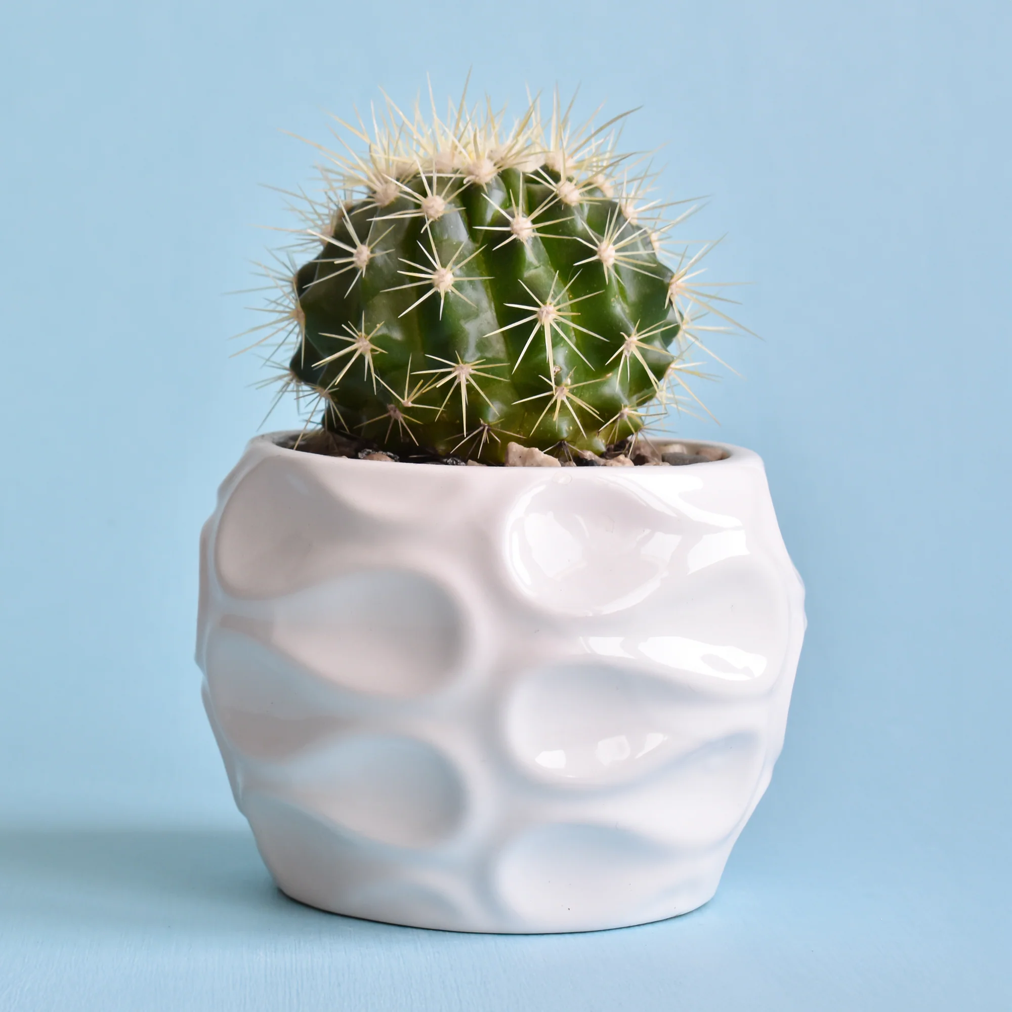 Miniatuur 2