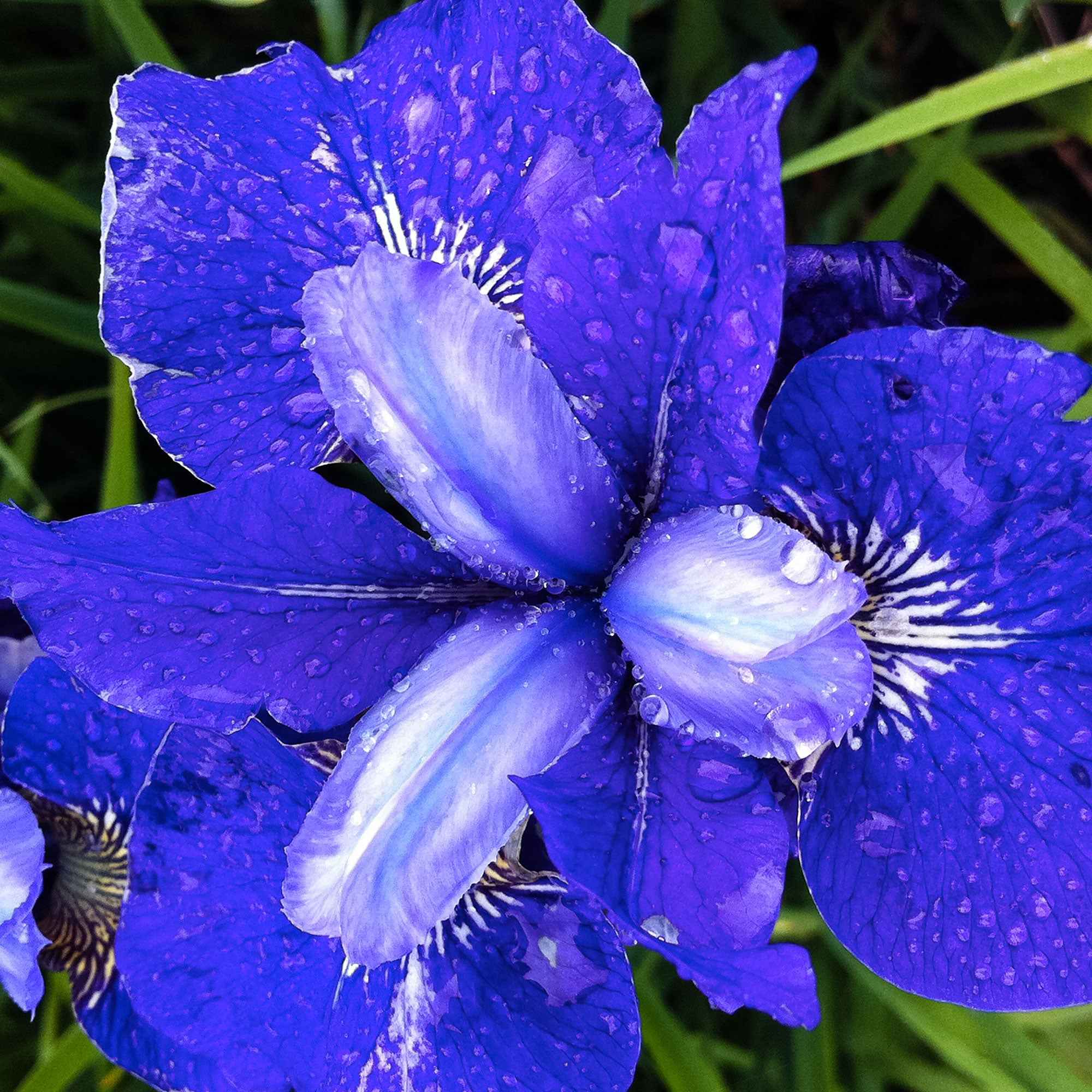 Miniatuur 2
