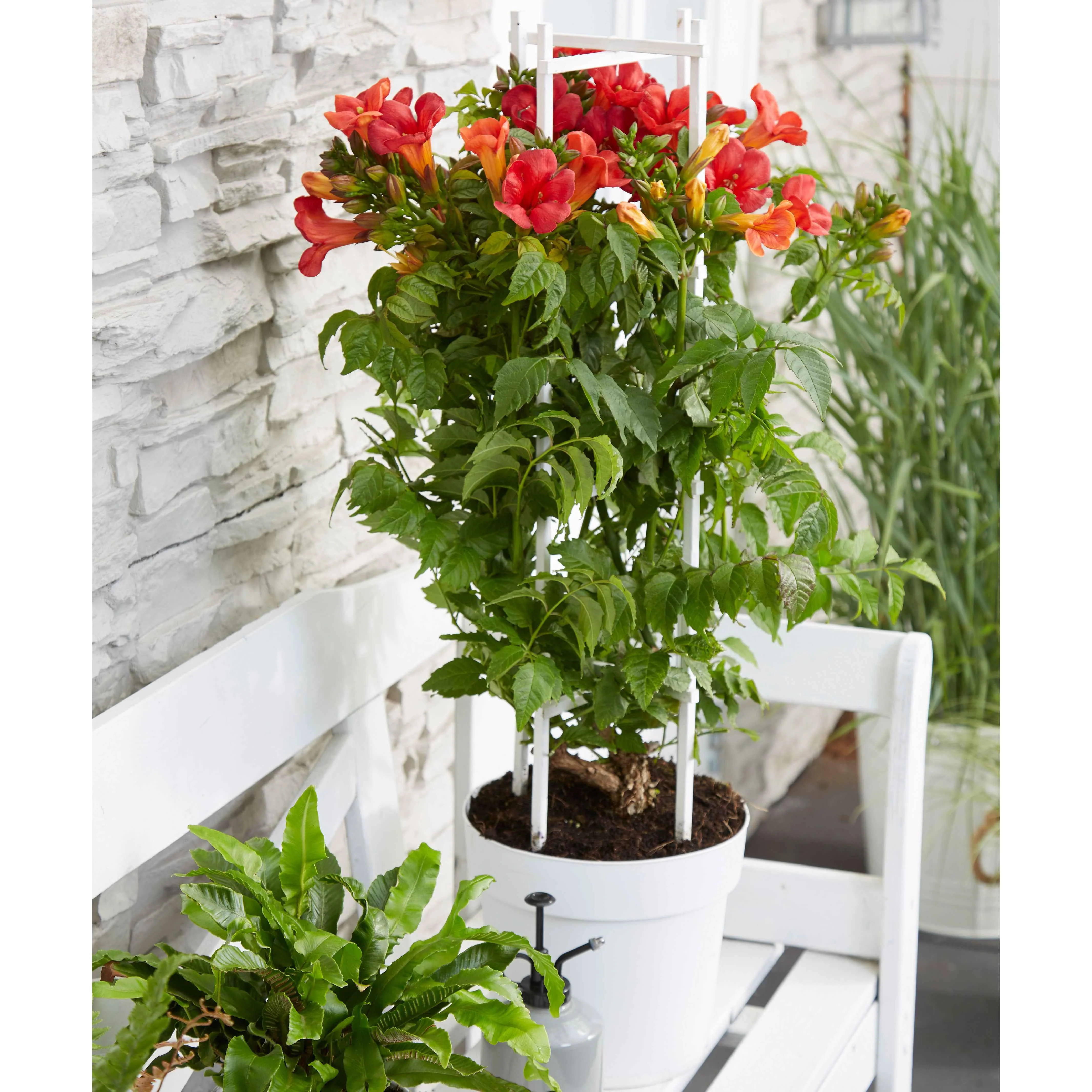 Miniatuur 2