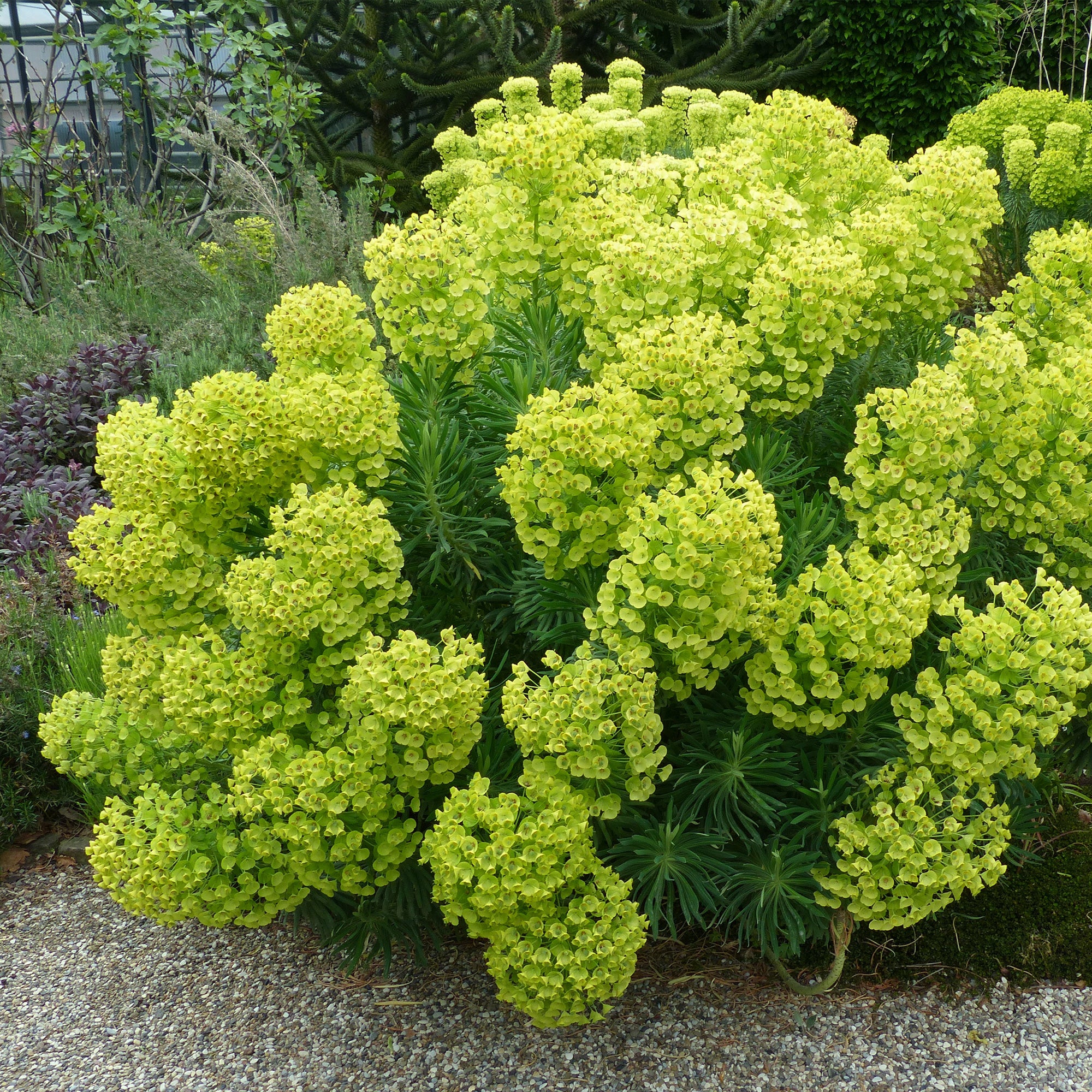 Miniatuur 2