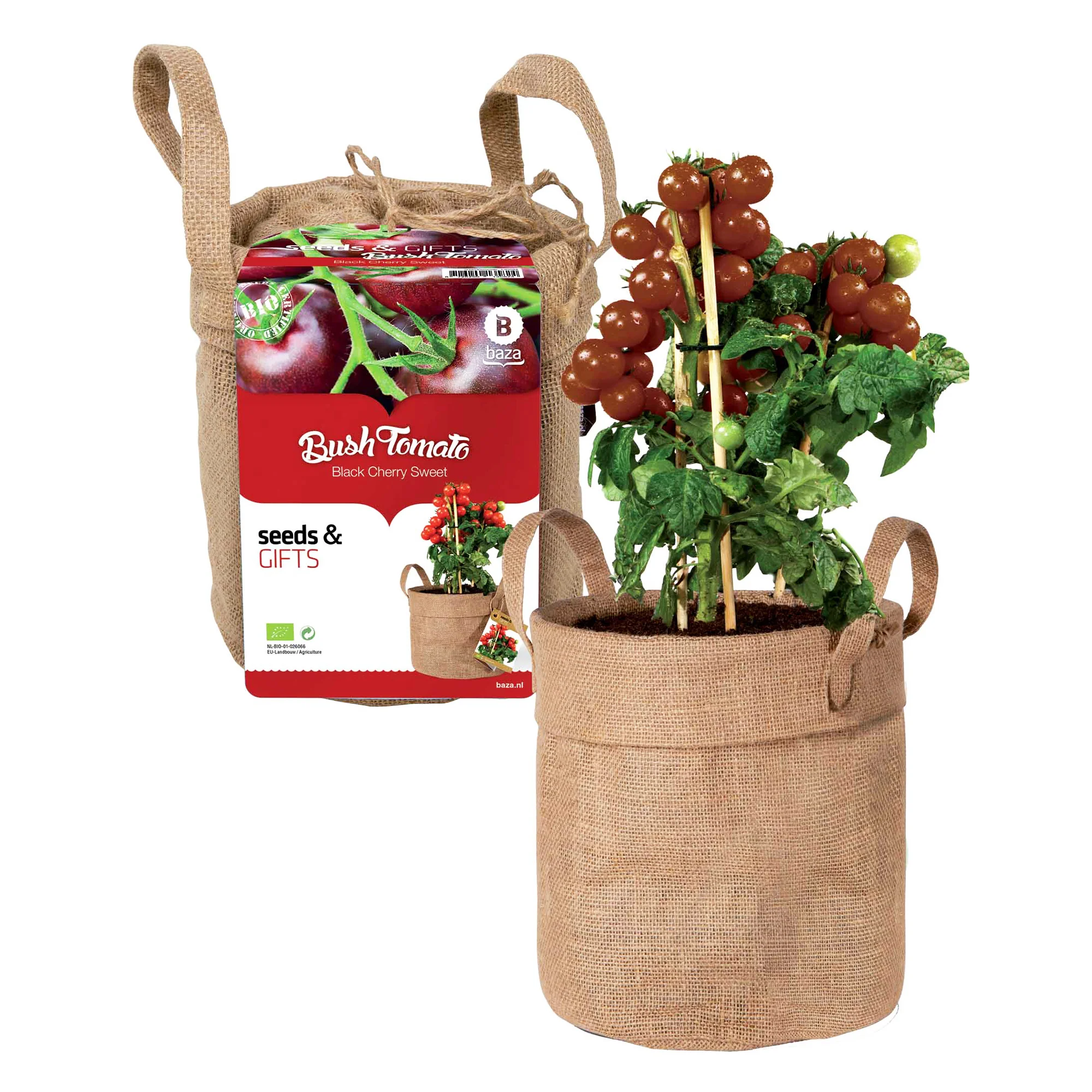 Miniatuur 1